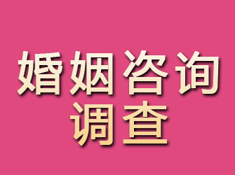 台江婚姻咨询调查